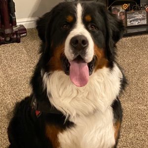 Meet your Posher, Jacob